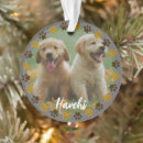 Search for plastic pet supplies Dogs