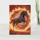 Search for galloping cards Equestrian