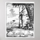 Search for buccaneer posters Pirate