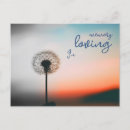 Search for in loving memory postcards Condolences