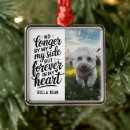 Search for dog loss quote Forever in my heart