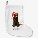 Search for chocolate christmas stockings Pet