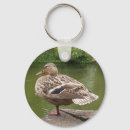 Search for ducks in water key rings Nature