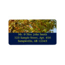 Search for gold leaves return address labels Fall