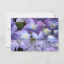 Search for bluish Purple