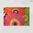 Search for gerbera business cards Pink