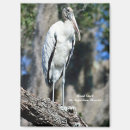 Search for feather kitchen dining Wildlife