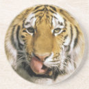 Search for zoo coasters Wildlife
