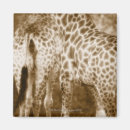 Search for african nations magnets Wildlife