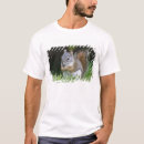 Search for ditto tshirts Fauna