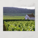 Search for cru France