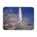 Search for festivity magnets Flower