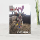 Search for happy new year wishes postcards Funny