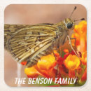 Search for moth coasters Nature