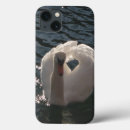 Search for swans cases White