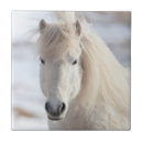 Search for ponies tiles Foal