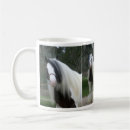 Search for gypsy horse mugs Vanner