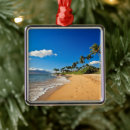 Search for coconut christmas tree decorations Beach
