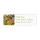Search for pony return address labels Icelandic