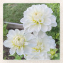 Search for dahlia flower coasters Summer