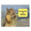 Search for working calendars Humour