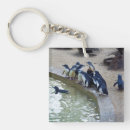 Search for penguin key rings Birds