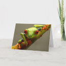 Search for tree frog cards Rainforest