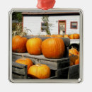 Search for fall christmas tree decorations Season