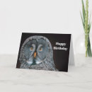 Search for great grey owl cards Wildlife