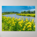 Search for computer posters Yellow