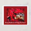 Search for happy reptile postcards Pet