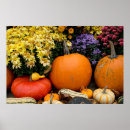 Search for fall colours posters Danita delimont