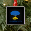 Search for pride christmas tree decorations ukraine