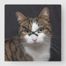 Search for pet photo clocks Cat