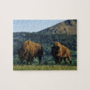 Search for national parks puzzles Alberta