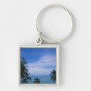 Search for tropical climate key rings Tree