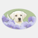 Search for labrador puppies stickers Labrador retriever puppy