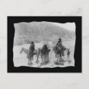 Search for old horse pictures postcards Vintage