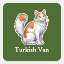 Search for turkish stickers Cat