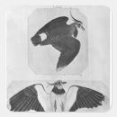 Search for budgerigar stickers Animal