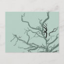 Search for trees design postcards Nature