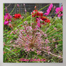 Search for allium art Photography