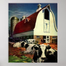 Search for holstein dairy cow posters Barn