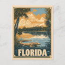 Search for vintage alligator postcards Florida