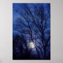 Search for full moon posters Trees