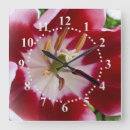 Search for tulip clocks Red