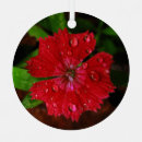 Search for dropping christmas tree decorations Red