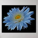 Search for hippie flowers posters Daisy