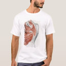 Search for muscle anatomy tshirts System