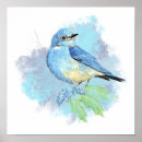Search for bluebird art Watercolor